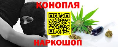 МДПВ Новодвинск
