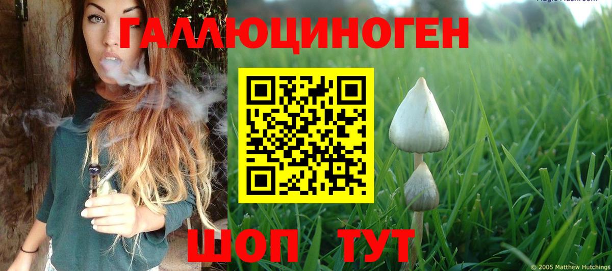 Галлюциногенные грибы мухоморы  Вход с VPN  Троицк 